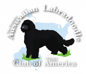 What is an Authentic Australian Labradoodle – ALCA